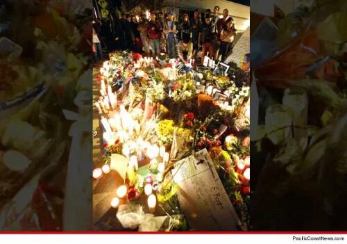 Поле уокере похороны фото Paul Walker -- Crash Site Evacuated For Private Family Memorial