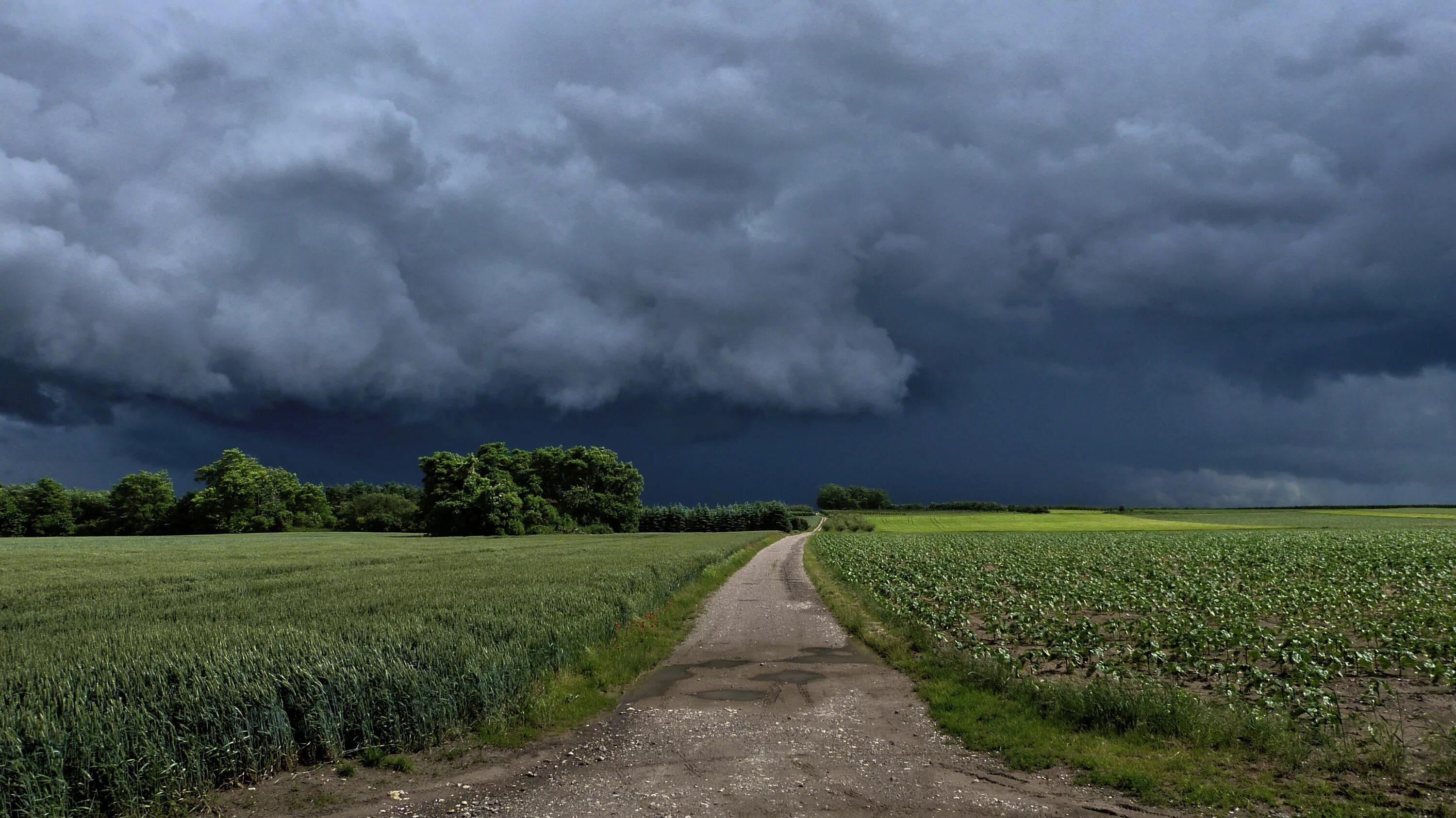 Поле в пасмурную погоду фото Wallpaper : cloud, sky, crop, atmosphere, cumulus, storm, rural area, grassland,