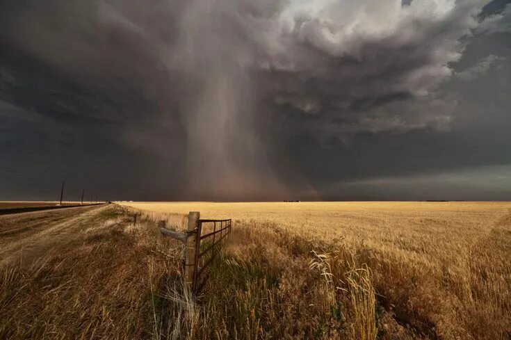 Поле в пасмурную погоду фото Грозовые тучи Storm photography, Storm chasing, Clouds