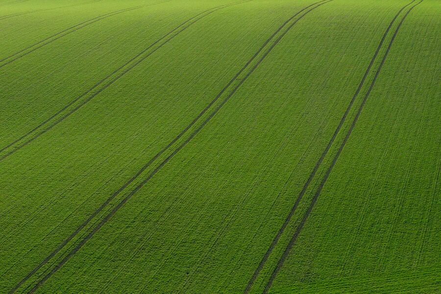 Поле вид сверху фото How does agriculture contribute to climate change? - World Future Council