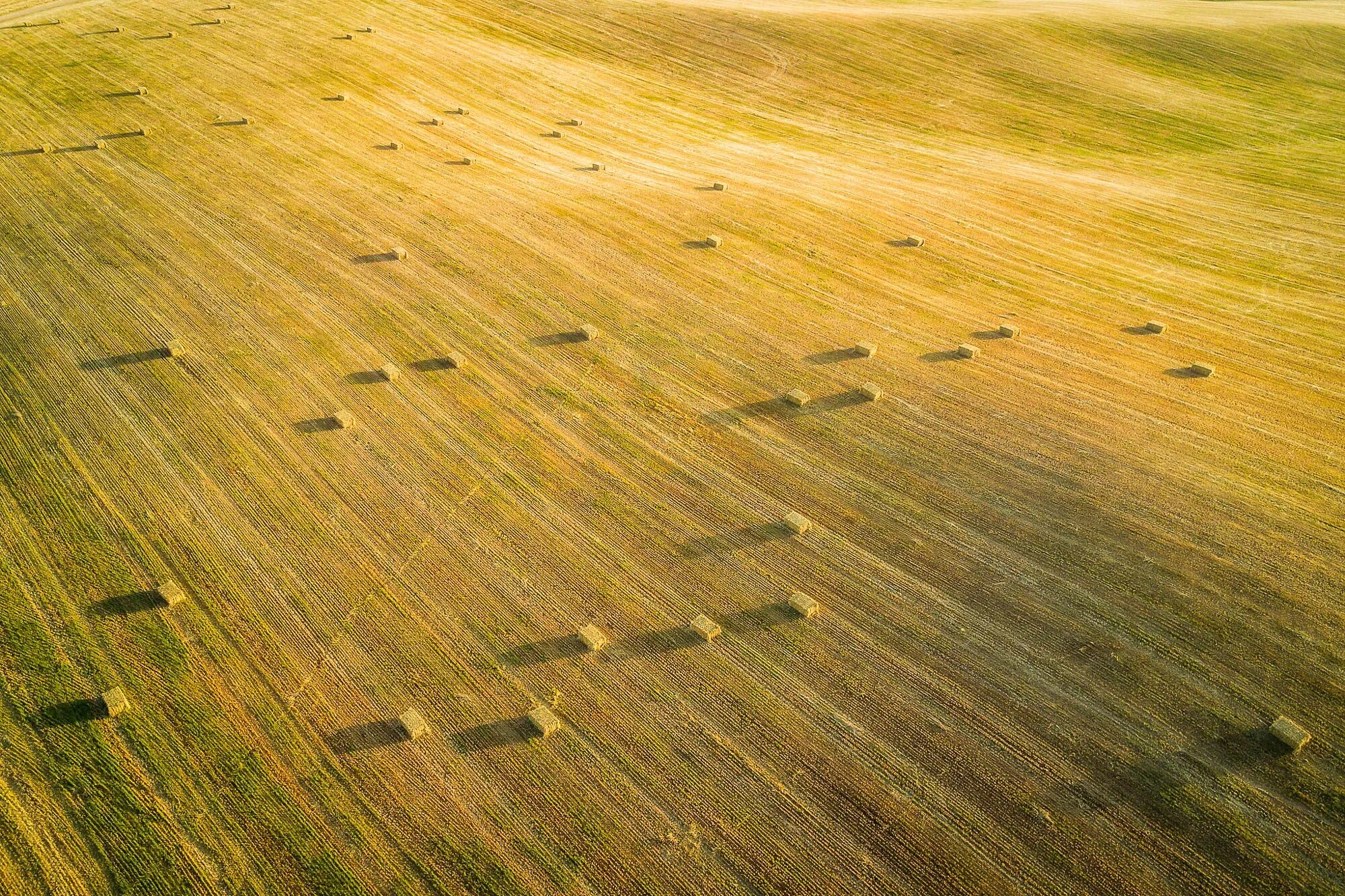 Поле вид сверху фото Wallpaper : yellow, field, landscape, sunlight, shadow, haystacks, aerial view 2