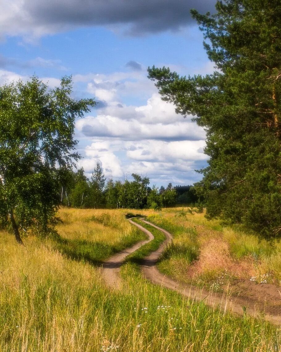 Полевая дорога фото Field road (Ukraine) by Valeriy Chernjak // Полевая дорога (Украина) автор Черня