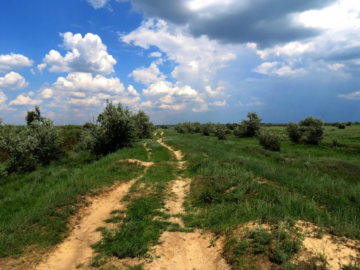 Полевая дорога фото Летняя прогулка / Полевая дорога