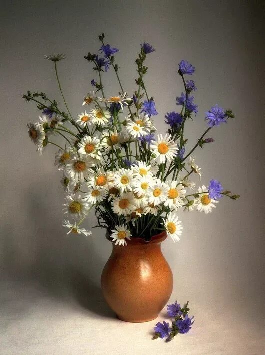 Полевые цветы в вазе фото Home Decor - Discussion - Community - Google+ Beautiful flowers, Still life flow