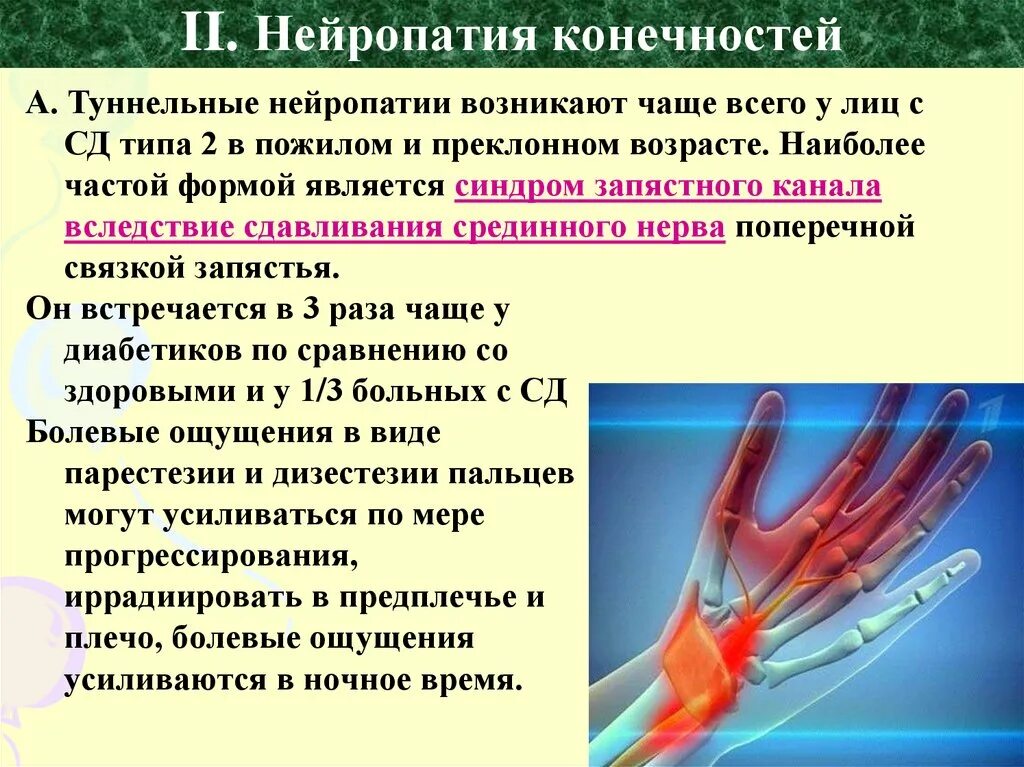 Полинейропатия нижних конечностей фото Полинейропатия конечностей лечение и восстановление: найдено 88 картинок