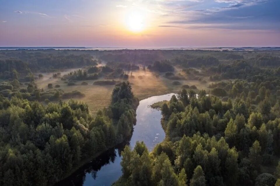 Полистовский заповедник фото Фотографии Полистовского заповедника участвуют во Всероссийском конкурсе "Исчеза