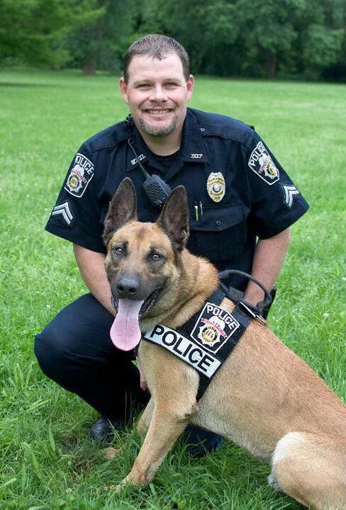 Полицейские овчарки фото February 2012 Working Dog of the Month K-9 Oxx and Cpl. Moore of the Waynesville