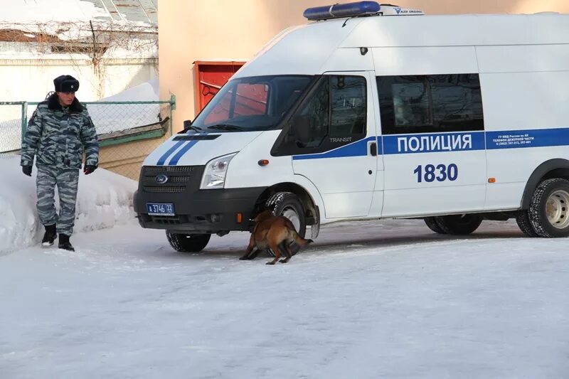 Полиция барнаул фото Секреты служебного собаководства раскрыли школьникам полицейские-кинологи