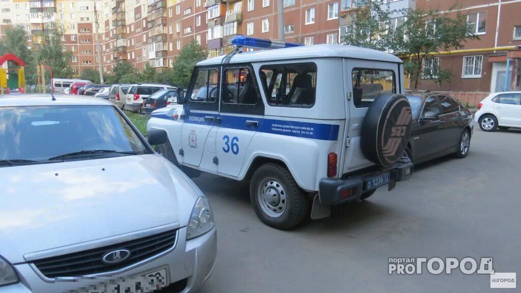 Полиция нижний новгород фото Самые громкие ограбления в Чувашии за последние три года