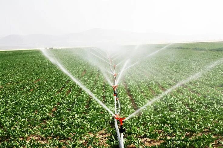 Полив полей фото Curso Projeto de Irrigação por Aspersão Irrigação, Sistemas de irrigação, Agricu