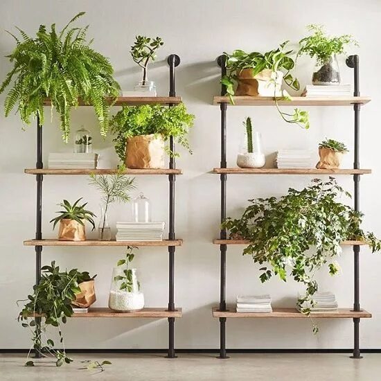 Полка для цветов в интерьере 23 DIY Indoor Plant Wall Projects Anyone Can Do イ ン テ リ ア 緑, 屋 内 植 物, イ ン テ リ ア