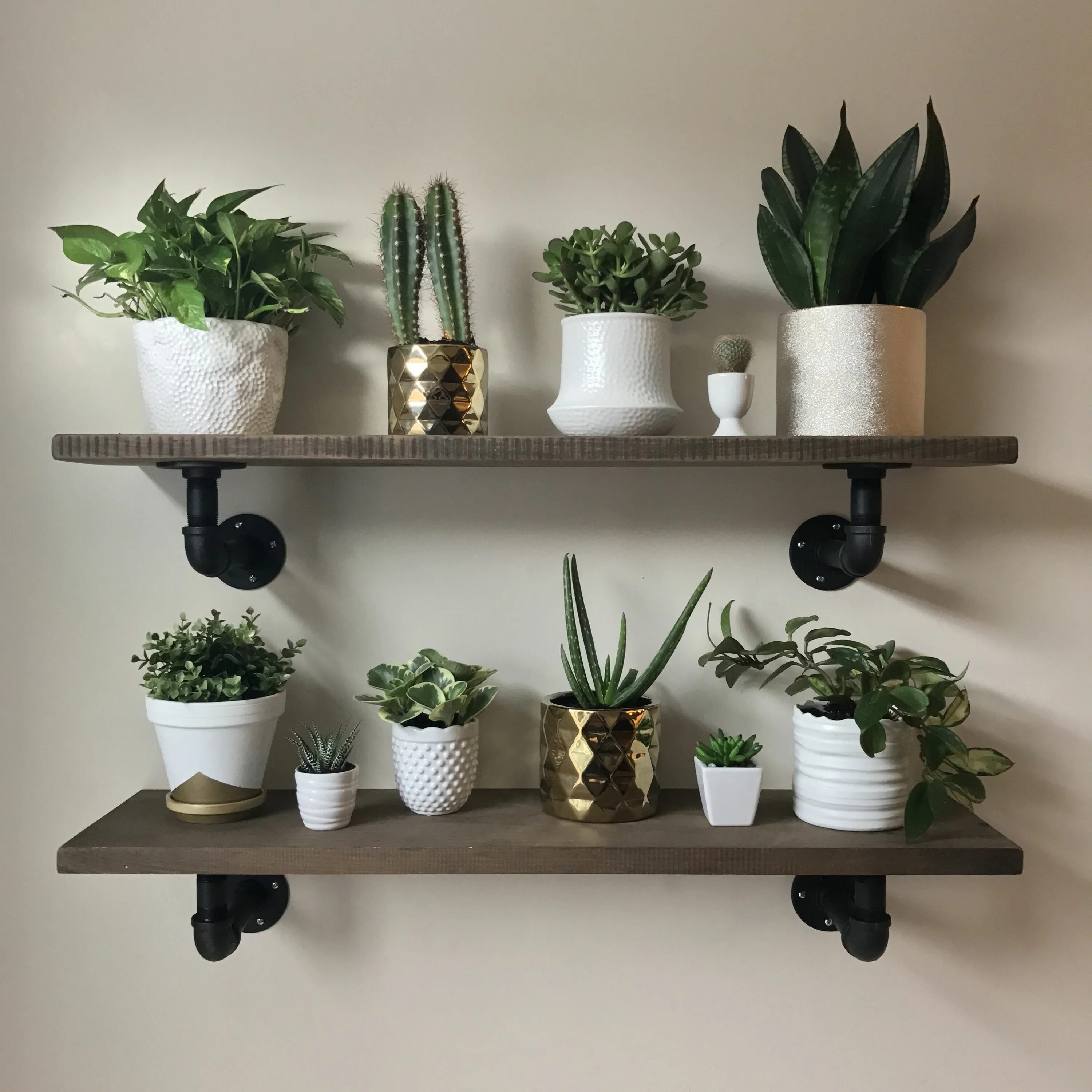 Полка для цветов в интерьере фото Plant wall my husband and I built in our new home! (#plantwall #plantshelves #in