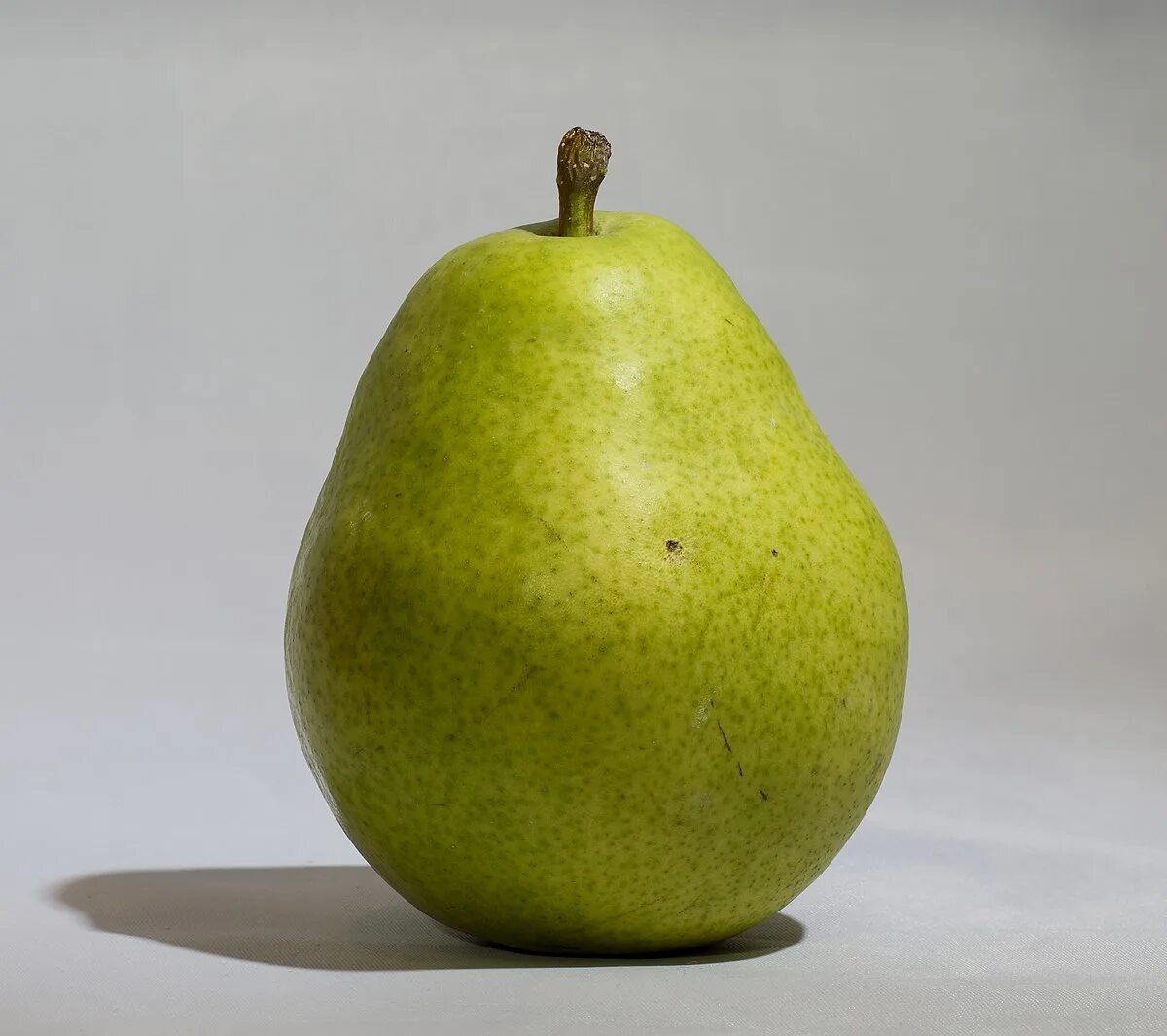 Полная груша фото File:D'anjou pear.jpg - Wikipedia