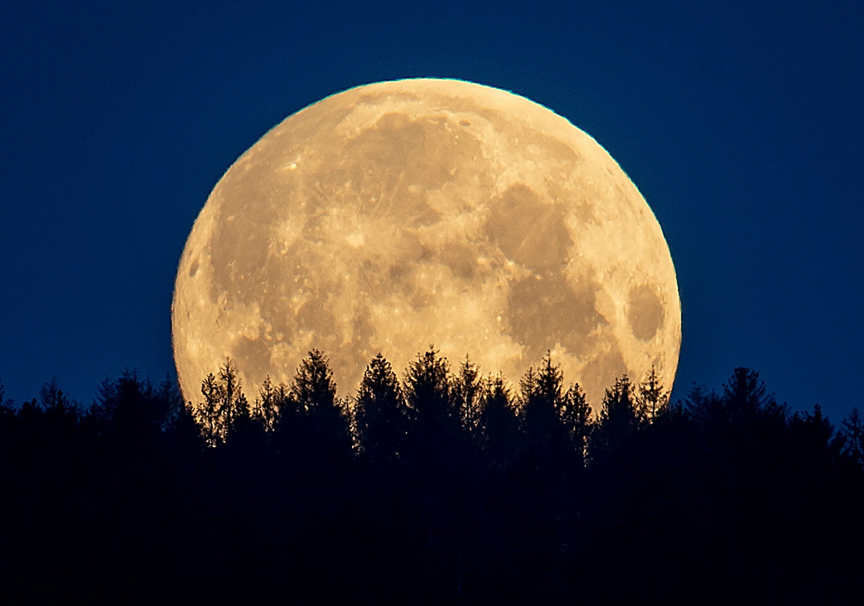 Полная луна фото Full Moon 2022: How to see January 'Wolf Moon' tonight The Independent