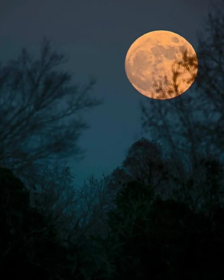 Полная луна фото ночью Spectacular Long Night Moon on December 16th EarthSky.org