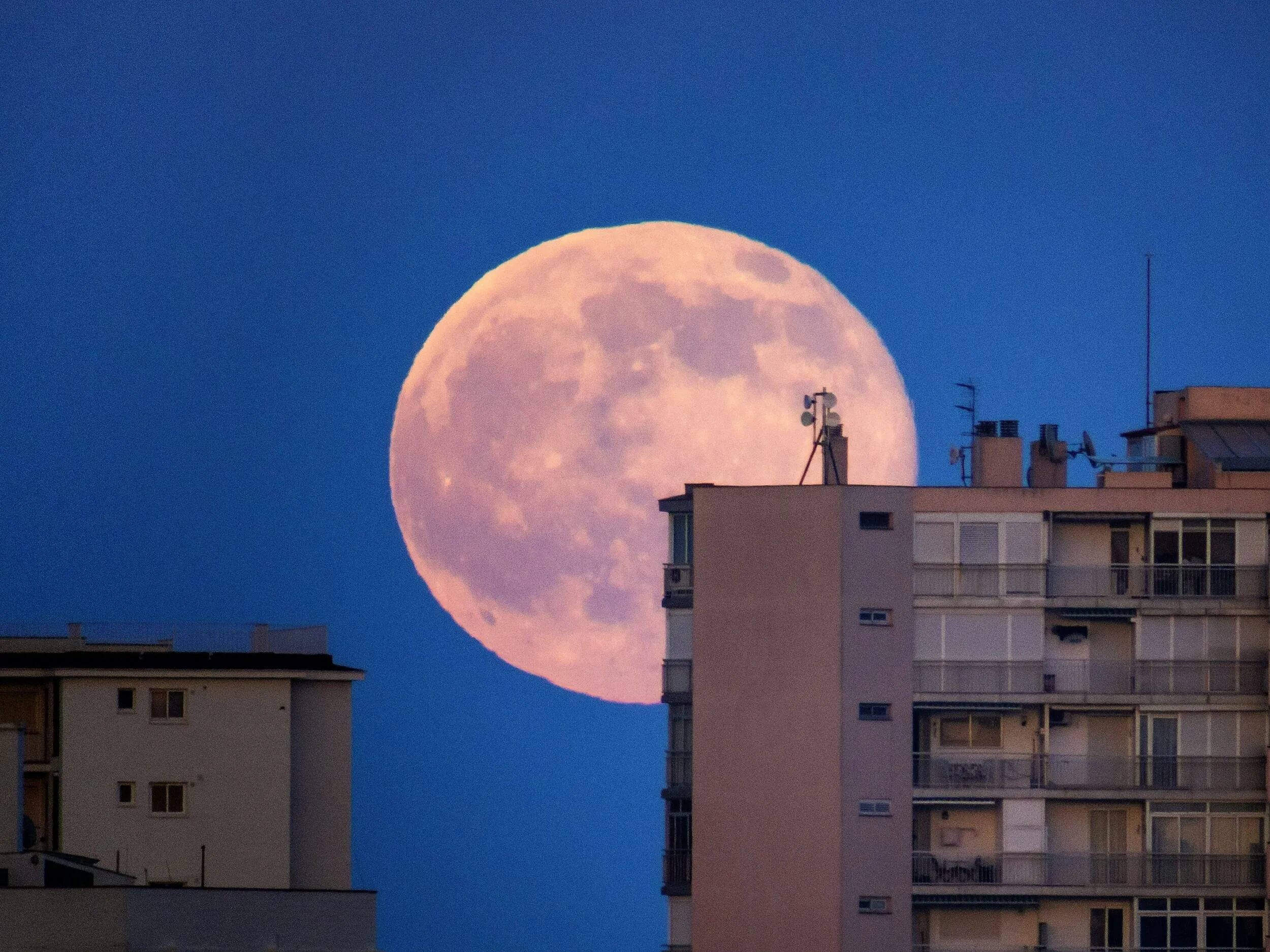 Полная луна сегодня фото Blue Moon 2023: How to take the perfect picture of the rare super moon The Indep