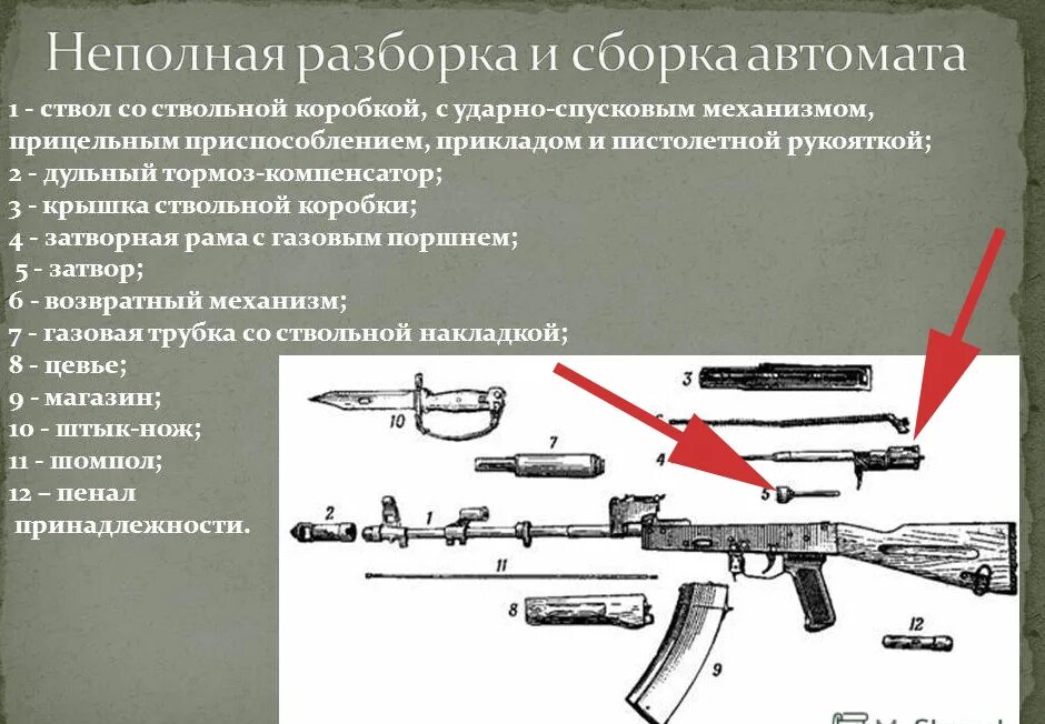 Полная разборка автомата калашникова порядок Проект автомат калашникова 5 класс