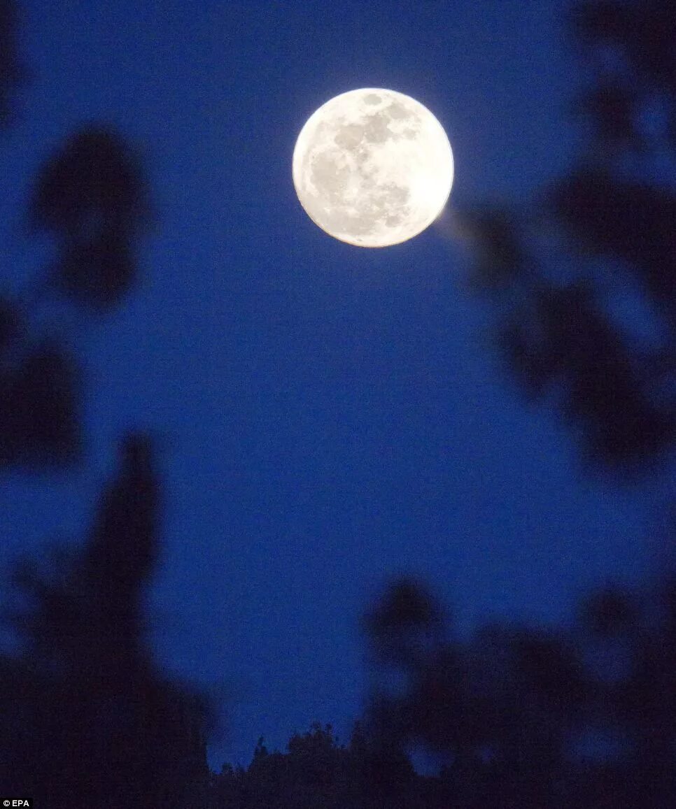 Полнолуние в сентябре фото Light fantastic: The 'supermoon's' spectacular show as our cosmic sidekick appea