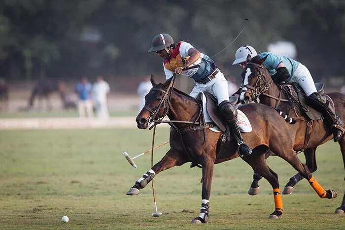 Поло спорт фото Polo Sport Argentina Polo Night