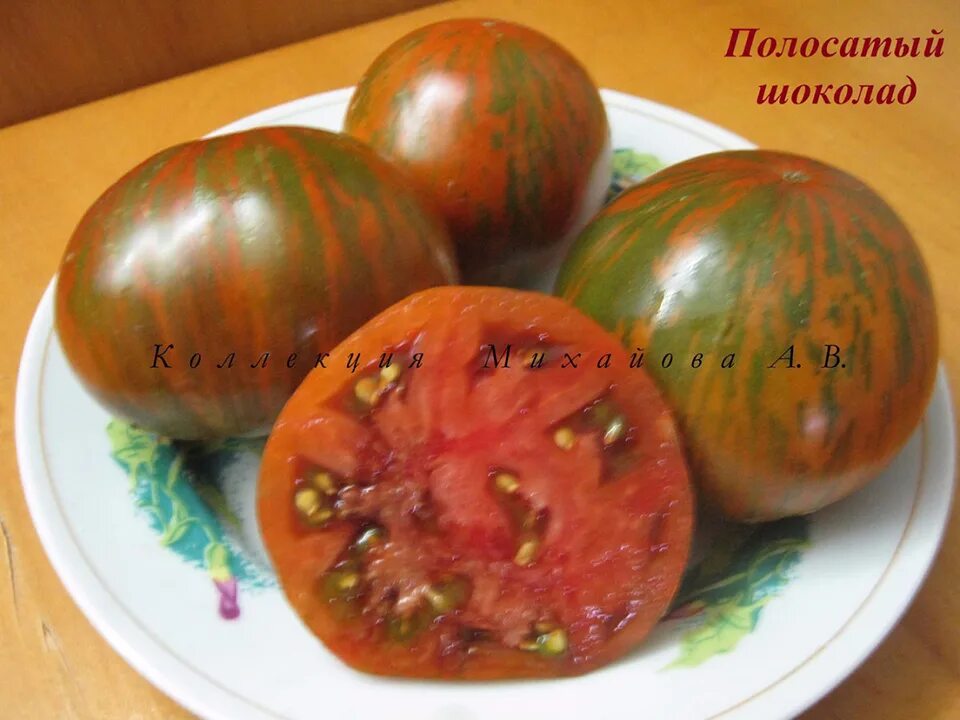 Полосатый шоколад описание сорта фото Полосатый шоколад (Chocolate Stripes)
