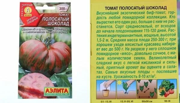 Полосатый шоколад описание сорта фото Томаты. Лучшие сорта прошедшего сезона. Томат, который радует Большая Ира Дзен