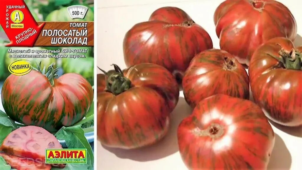 Полосатый шоколад томат фото Томат Полосатый шоколад: характеристика и описание селекционного сорта с фото