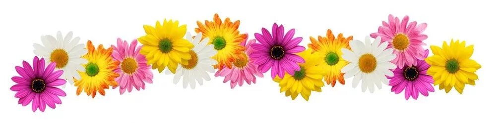 Полоска цветов фото Free spring flower border clipart image #7969 Flower border clipart, Flower bord