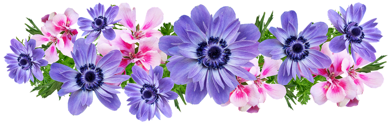 Полоска цветов фото Pin by Riana on Sublimation Flower png images, Flower illustration, Floral print