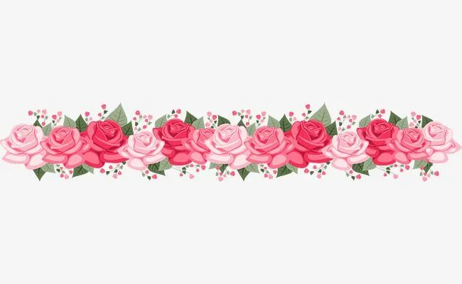 Полоска цветов фото Pink Dividing Line White Transparent, Romantic Pink Roses Dividing Line, Romanti