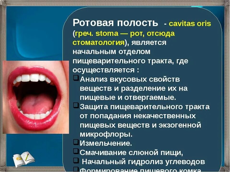 Полости рта симптомы фото Какая ты порядочная своей ротовой полости - найдено 76 картинок