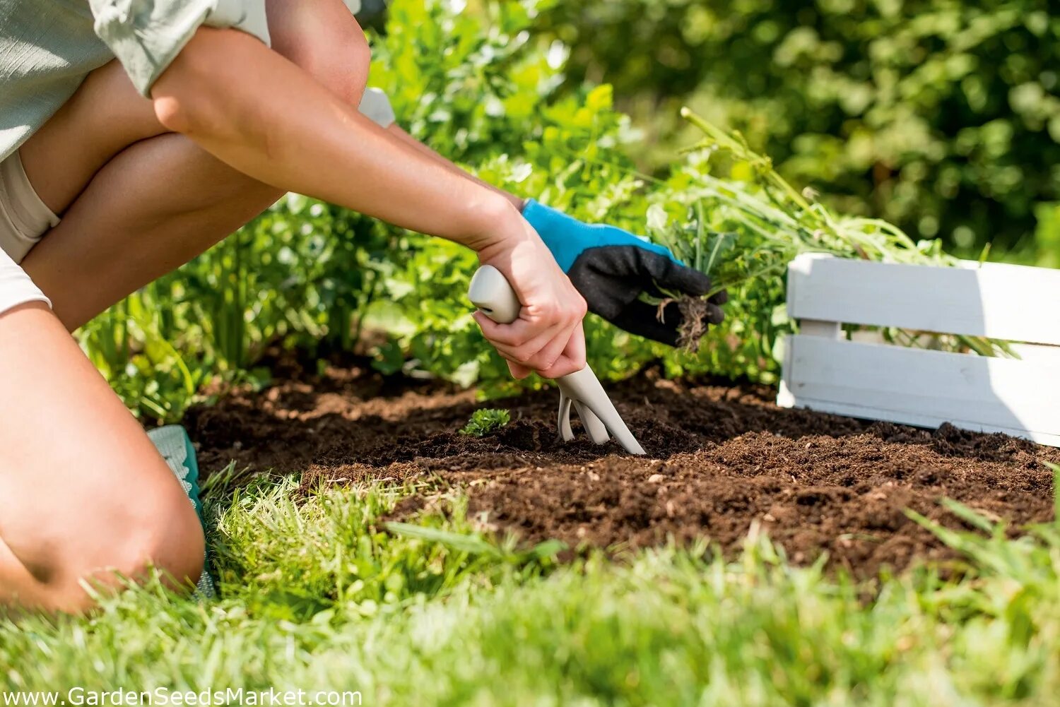 Полоть фото Маленькая садовая вилка - PASTEL - пастельно-бежевый - CELLFAST - - Garden Seeds