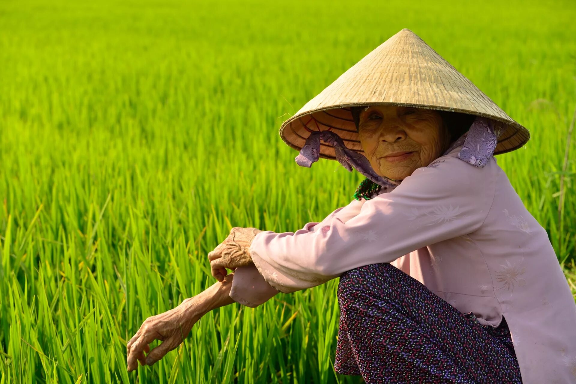 Полоть фото Wallpaper : old, portrait, woman, green, field, hat, countryside, Nikon, rice, t