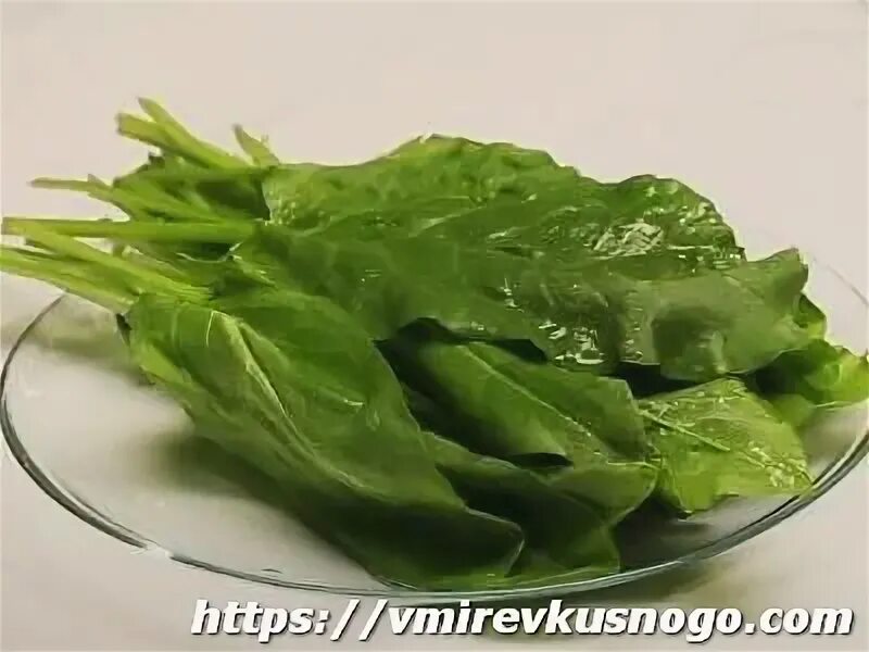 Половые губы щавель ракушка форма фото Щавель - В мире вкусного