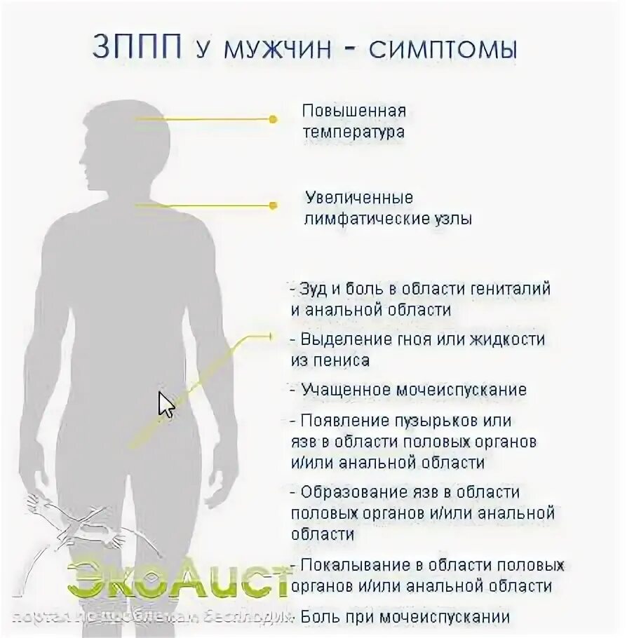 Половые инфекции у мужчин симптомы фото 15 ключевых признаков зппп у женщин