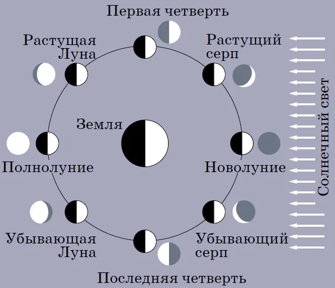 Положение луны фото Космический театр теней