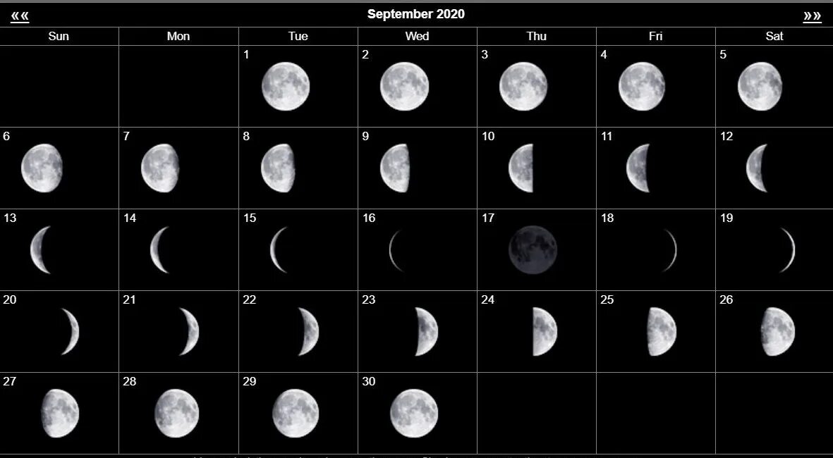 Положение луны фото Phases of the Moon & the Vegetative Cycle The Classical Astrologer