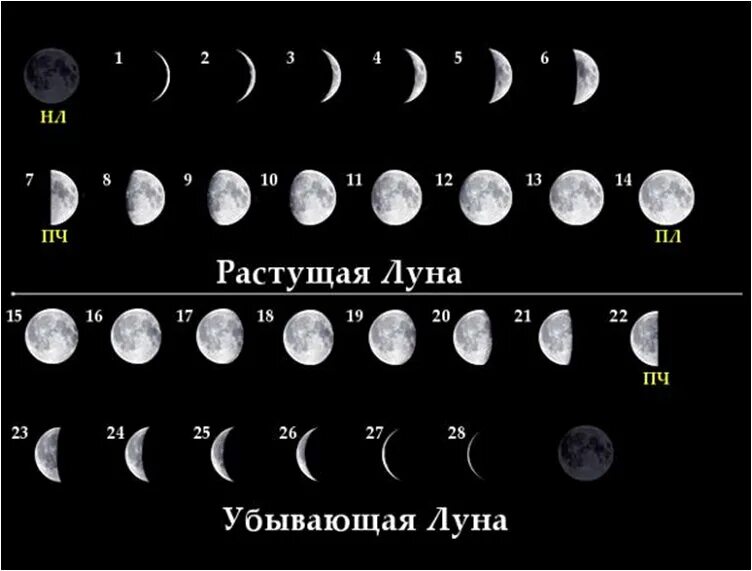 Положение луны фото Сколько дней убывающей луны: найдено 68 изображений