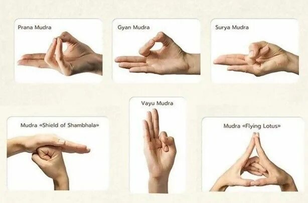 Положение рук фото cosmic mudra hand positions Getting rid of migraines, Yoga hands, Yoga master