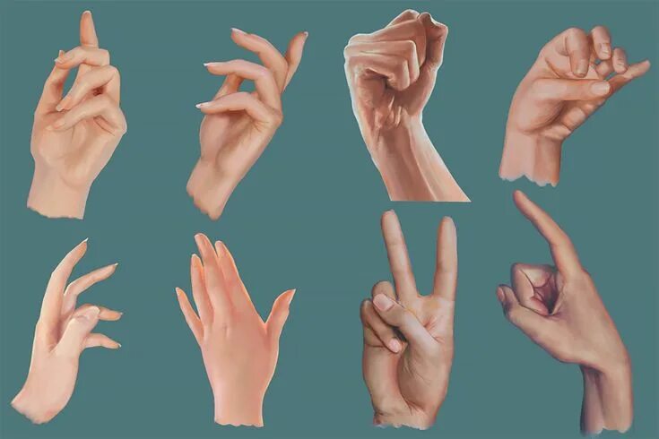 Положение рук фото Hand Painting Workshop - Assignment Hand reference, Body gestures, Anatomy refer