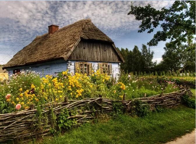 Польская деревня фото Stare Wiejskie Chatki - Old Country Cottages Пейзажи, Пейзажная живопись, Дереве