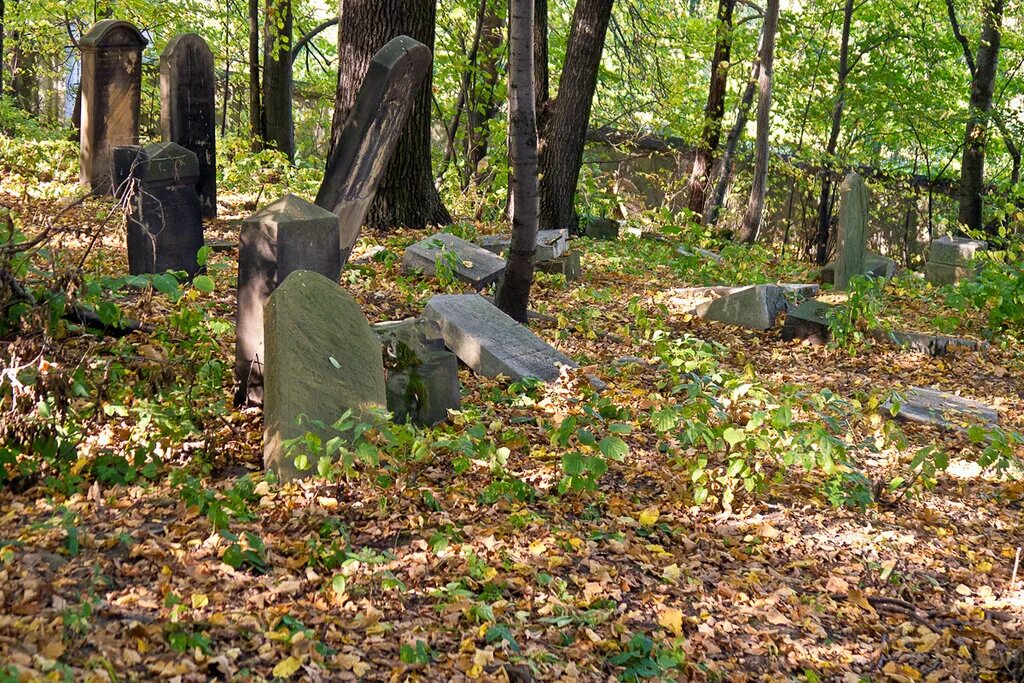 Польское кладбище в смоленске фото Jewish cemetery in Bieruń, кладбище, Польша, город Берунь - Яндекс.Карты