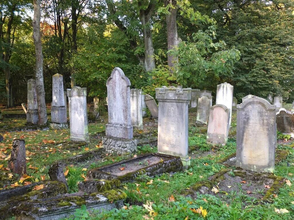 Польское кладбище в смоленске фото Jewish cemetery in Szczytno, кладбище, Польша, Варминьско-Мазурское воеводство, 