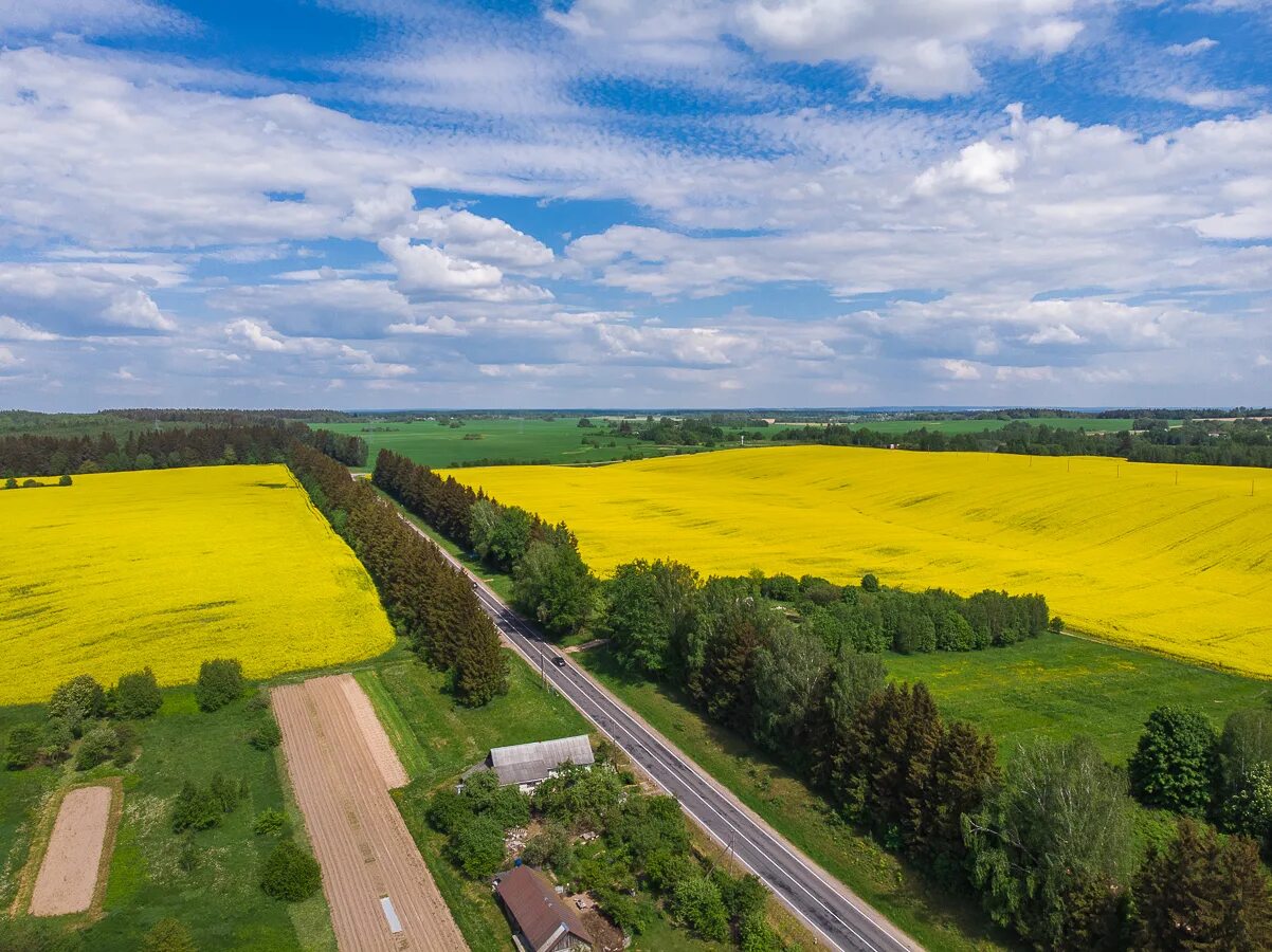 Поля белоруссии фото Картинки БЕЛ ПОЛЕ КУРСК