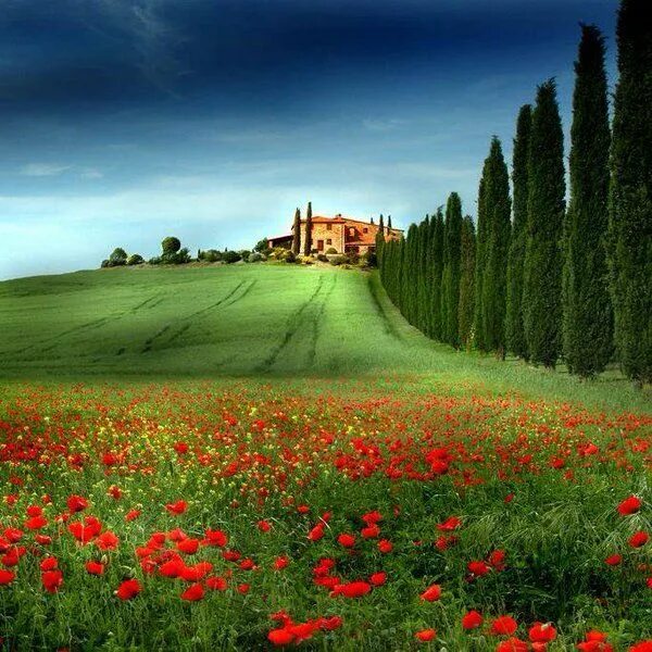 Поля италии фото Tuscany Nature pictures, Beautiful buildings, Instagram photo