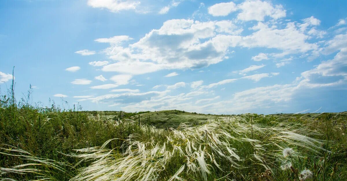 Поля ковыля фото Весеннее настроение Дикого Поля Пикабу