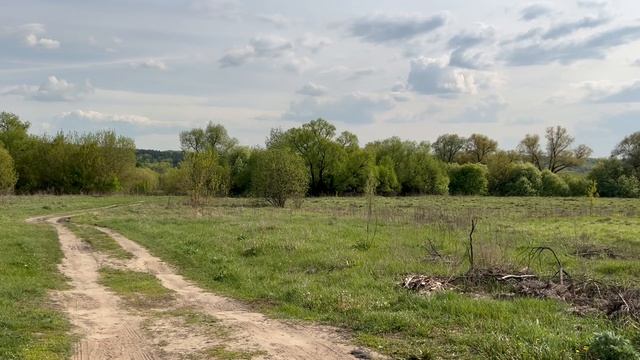 Поляна московская область серпуховский район фото ЗУ с кадастровым номером 50:32:0060204:784, Московская область, Серпуховский рай