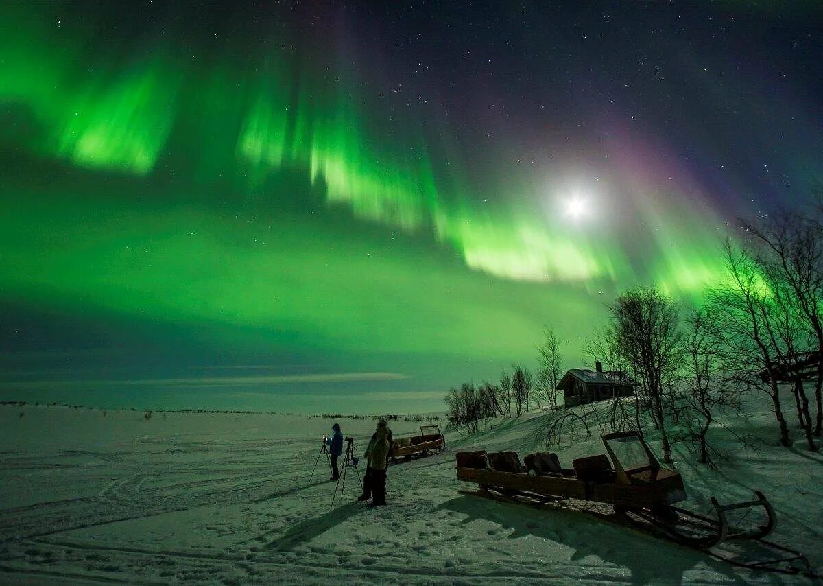 Полярная ночь фото Polarlichtexpress, Киттиля: лучшие советы перед посещением - Tripadvisor