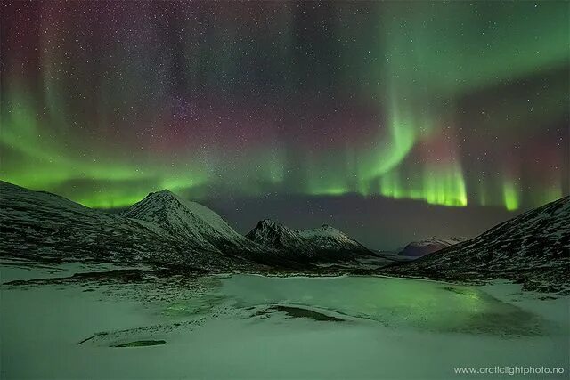 Полярная ночь фото Arctic Nights Arctic landscape, Aurora borealis northern lights, Arctic