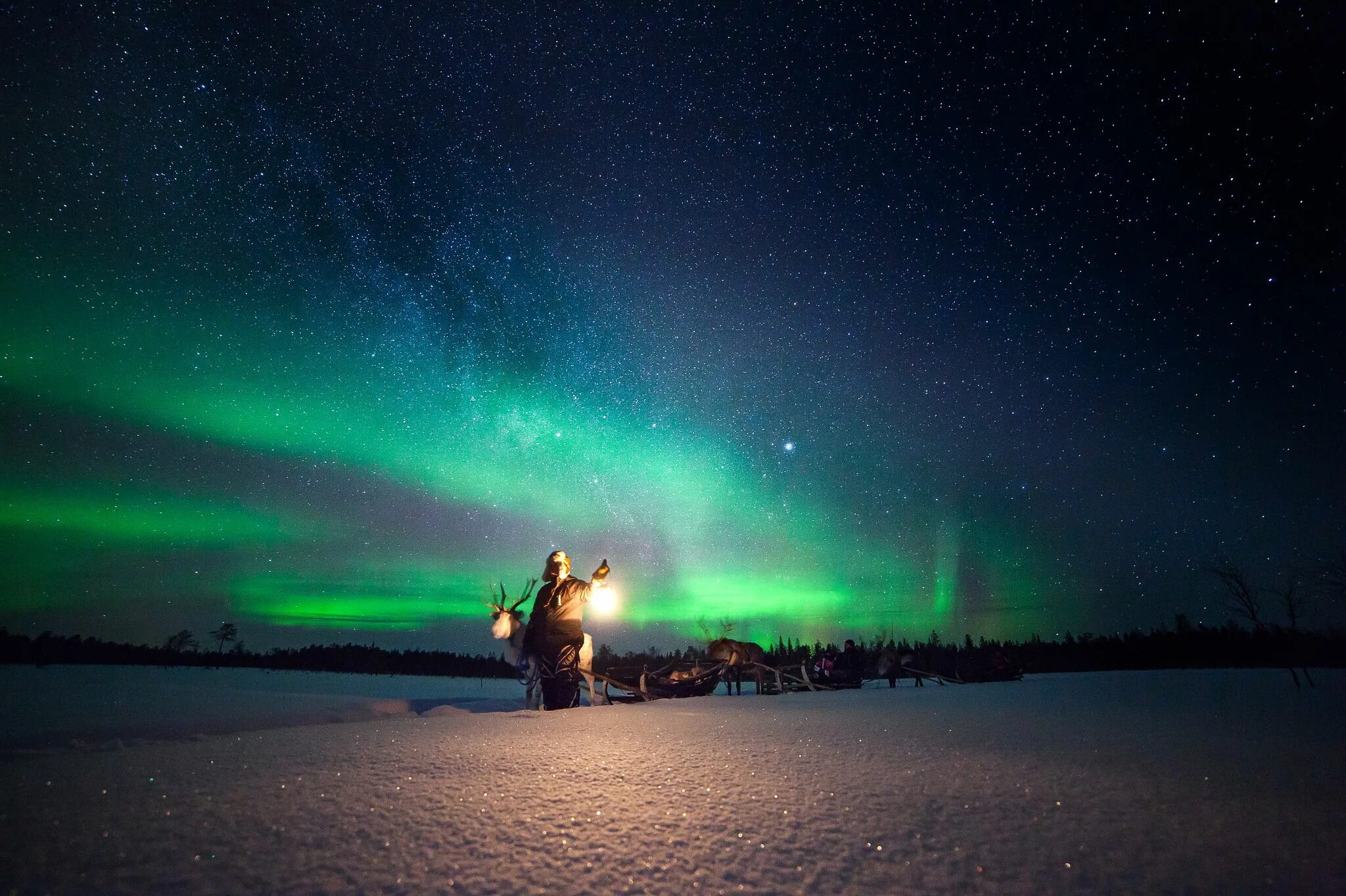 Полярная ночь фото Northern Lights in Finland http://www.theaurorazone.com/holidays See the norther