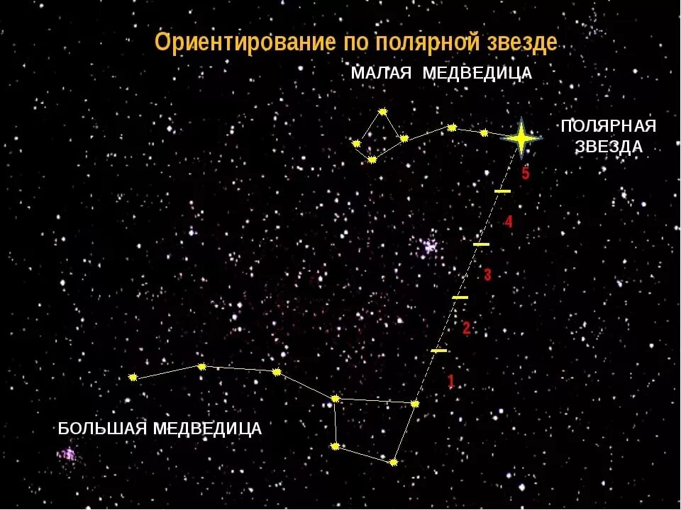 Полярная звезда на небе фото расположение летом Как назывались созвездия на Руси - Sage - КОНТ